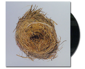 Wilco album A Ghost Is Born on black Vinyl LP from Bingo Merch Official Merchandise